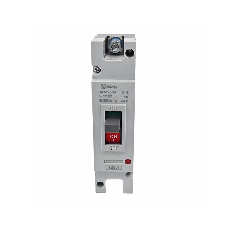 CM1 1P100A Molded Case Circuit Breaker (1)