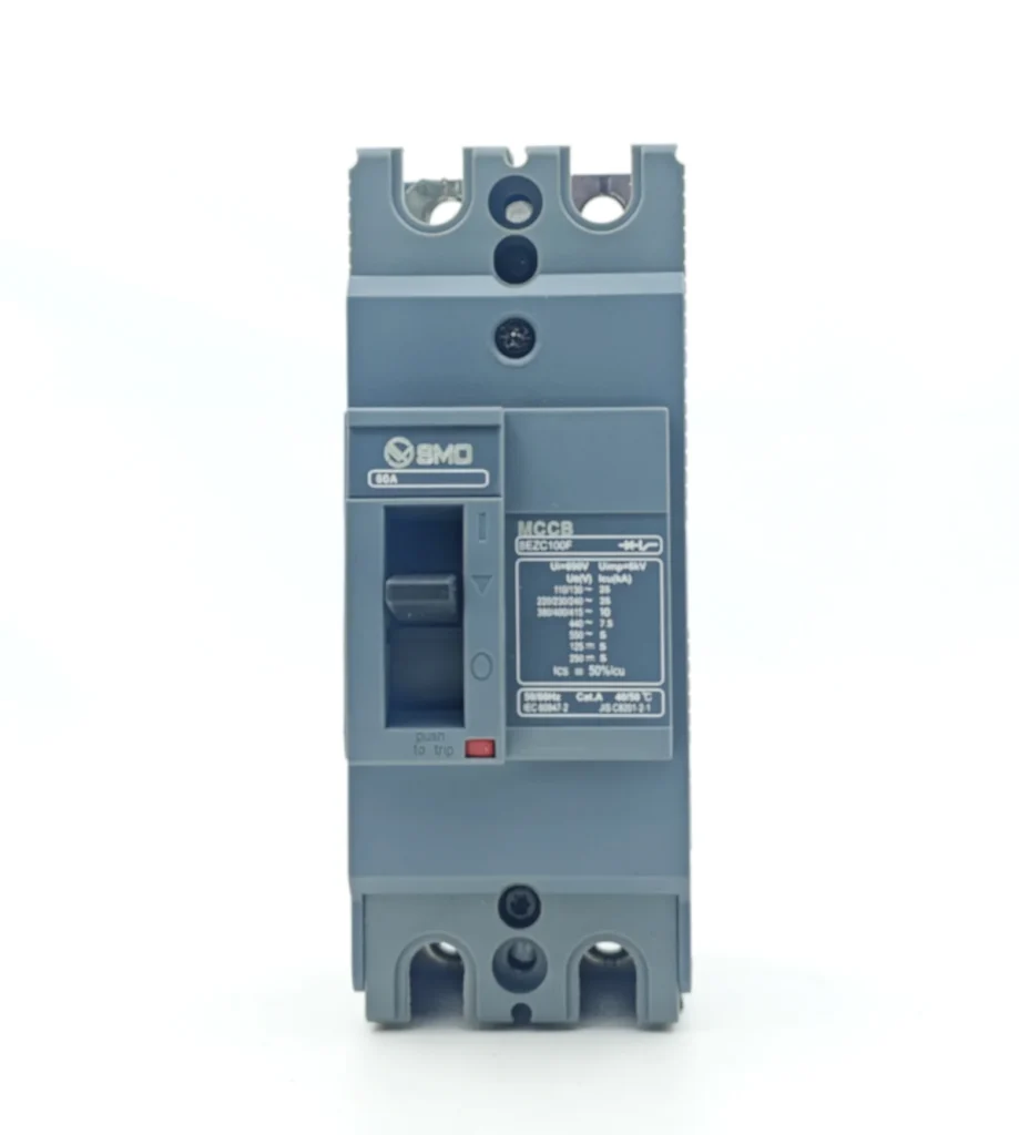 SEZC 50A 100A Molded Case Circuit Breaker (1)