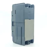 SEZC 50A 100A Molded Case Circuit Breaker (4)