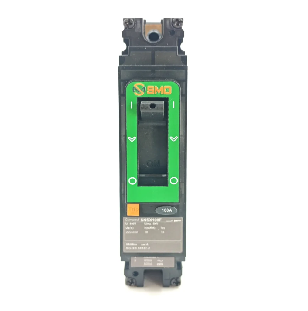 SNSX 1P100A 160F 250A Molded Case Circuit Breaker (1)