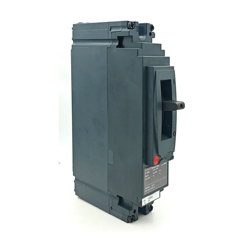 SNSX 1P160F Molded Case Circuit Breaker (2)