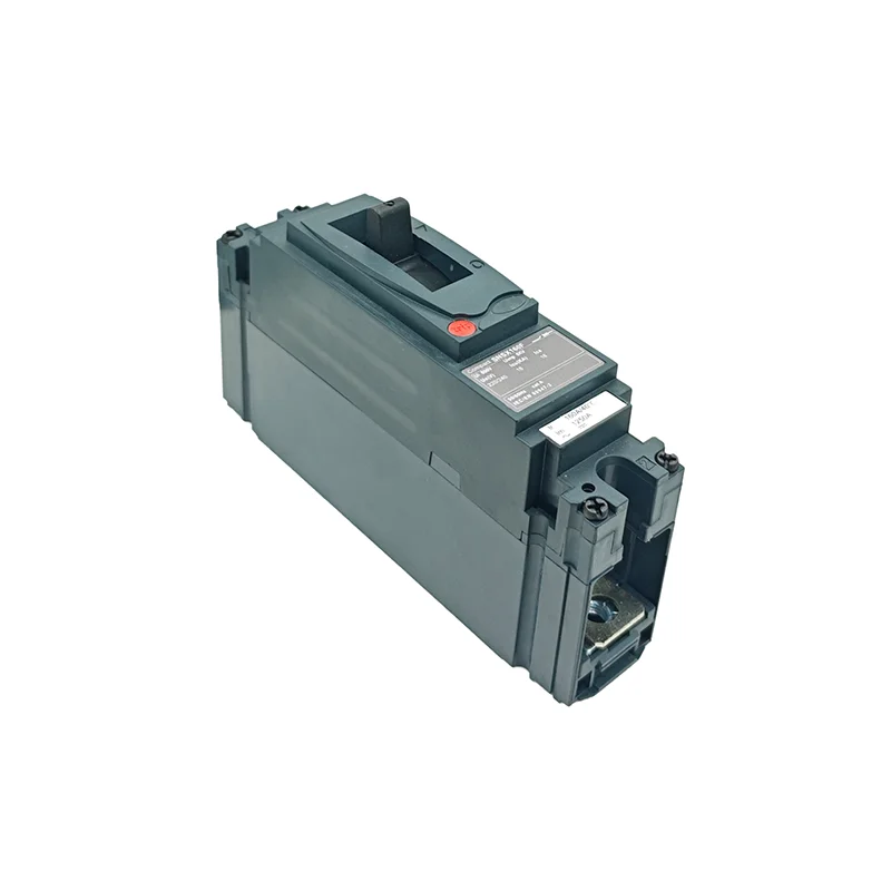 SNSX 1P160F Molded Case Circuit Breaker (6)